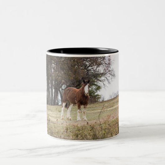 Tasse 2 Couleurs Clydesdale (Centre)