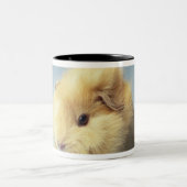 Tasse 2 Couleurs Cobaye crème (Centre)