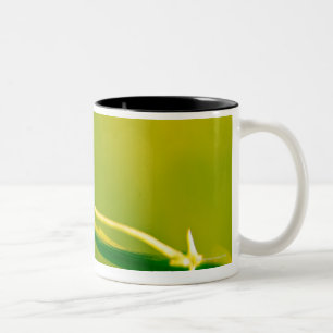 Tasse 2 Couleurs Coccinelle sur le brin