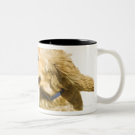 Tasse 2 Couleurs Cocker (Droit)