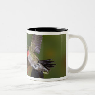 Tasse 2 Couleurs Colibri à gorge rubis mâle