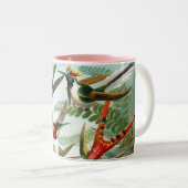 Tasse 2 Couleurs Colibris par Ernst Haeckel (Devant droit)