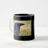 Tasse 2 Couleurs Collection RAVEN STUDY (Devant gauche)
