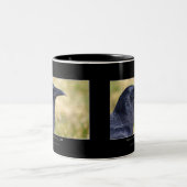 Tasse 2 Couleurs Collection RAVEN STUDY (Centre)