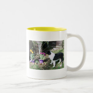 TASSE 2 COULEURS COLLIE PUP PREND DU TEMPS POUR SENTIR LES FLEURS