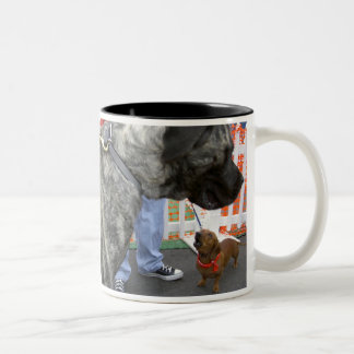 Tasse 2 Couleurs Complexe napoléonien ?