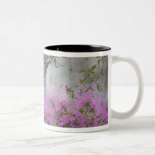 Tasse 2 Couleurs Composite numérique d'azalées et d'arbre magnolia