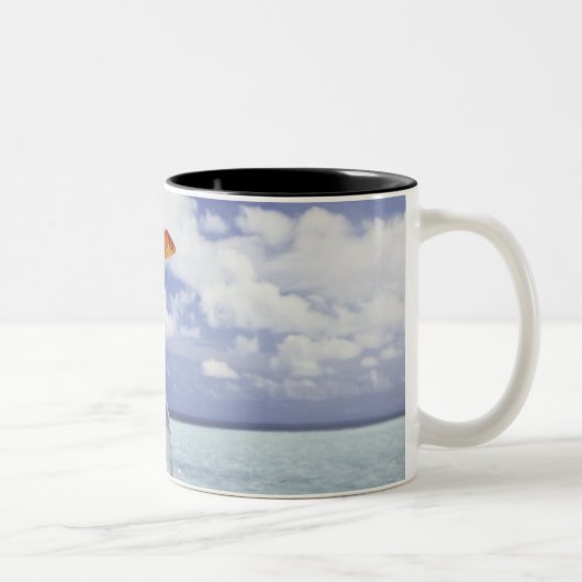 Tasse 2 Couleurs Composition en Digitals (Droit)