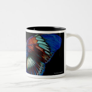 Tasse 2 Couleurs Conception colorée de papillon contre le contexte