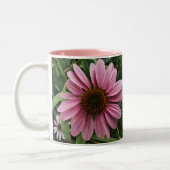 Tasse 2 Couleurs Coneflower pourpre (Gauche)