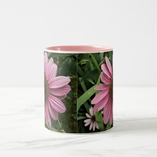 Tasse 2 Couleurs Coneflower pourpre (Centre)
