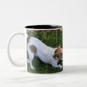 TASSE 2 COULEURS CONFLIT (Gauche)