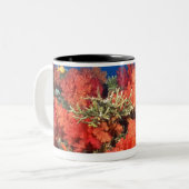 Tasse 2 Couleurs Corail et poissons (Devant gauche)