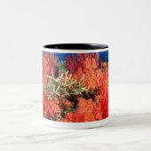 Tasse 2 Couleurs Corail et poissons (Centre)