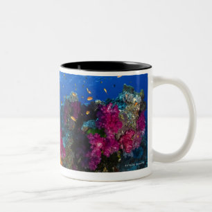 Tasse 2 Couleurs Coraux mous sur le récif peu profond, Fidji