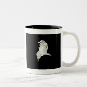 Tasse 2 Couleurs Corbeau