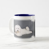 Tasse 2 Couleurs Coton de Tulear - Joci (Devant gauche)