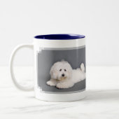 Tasse 2 Couleurs Coton de Tulear - Joci (Gauche)