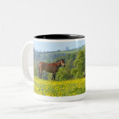 Tasse 2 Couleurs Cotswolds, R-U (Devant gauche)