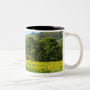 Tasse 2 Couleurs Cotswolds, R-U