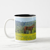 Tasse 2 Couleurs Cotswolds, R-U (Gauche)