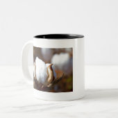 Tasse 2 Couleurs Cotton Boll Art (Devant gauche)