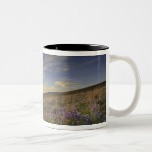 Tasse 2 Couleurs Coucher de soleil sur les montagnes Bitterroot et