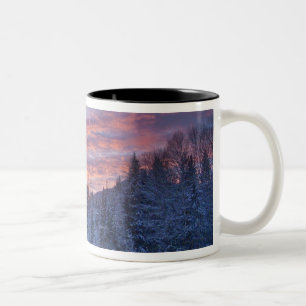 Tasse 2 Couleurs Coucher de soleil vibrant peint le ciel au-dessus