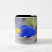 Tasse 2 Couleurs Coupe avec Lucky Fish (Centre)