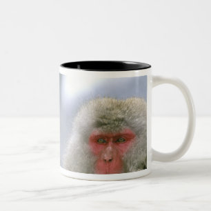 Tasse 2 Couleurs Couple de singe des neiges, Macaque japonais