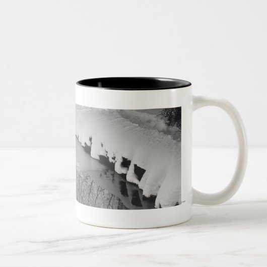 Tasse 2 Couleurs Courant en hiver B&W (Droit)