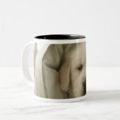 Tasse 2 Couleurs Coussin autour de chien (Devant gauche)
