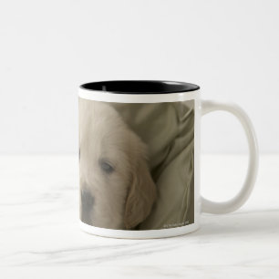 Tasse 2 Couleurs Coussin autour de chien