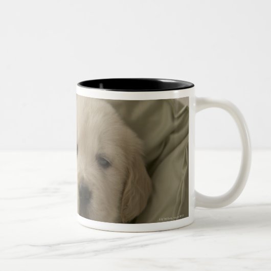 Tasse 2 Couleurs Coussin autour de chien (Droit)