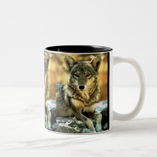 Tasse 2 Couleurs Coyote, cadeaux d'amants de faune (Droit)