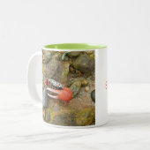 Tasse 2 Couleurs Crabe de Beach Fiddler (Devant gauche)