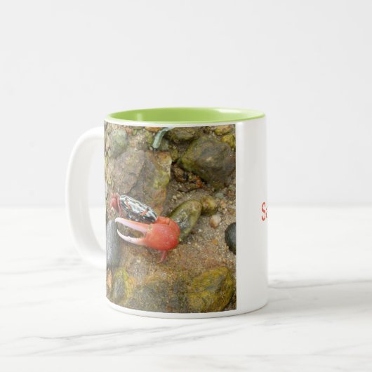 Tasse 2 Couleurs Crabe de Beach Fiddler (Devant gauche)