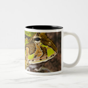 Tasse 2 Couleurs Crapaud cornu brésilien, Ceratophrys cornuta, Nati
