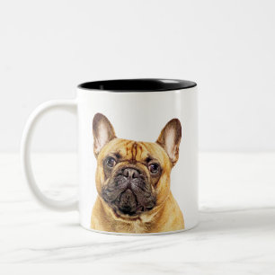 Tasse 2 Couleurs Créez votre propre photo d'animal de compagnie