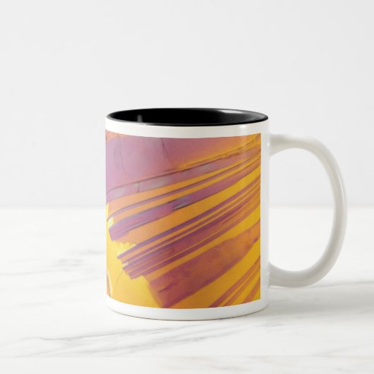 Tasse 2 Couleurs Cristaux d'acide oxalique (Droit)