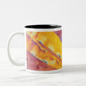 Tasse 2 Couleurs Cristaux d'acide oxalique (Gauche)