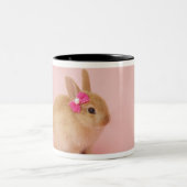 Tasse 2 Couleurs Cuniculus 2 d'Oryctolagus (Centre)
