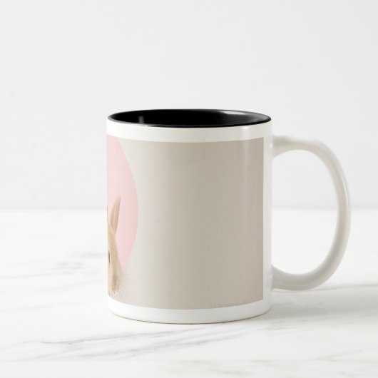 Tasse 2 Couleurs Cuniculus 3 d'Oryctolagus (Droit)