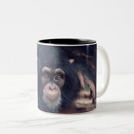 Tasse 2 Couleurs cute baby Chimpanzee (Devant droit)