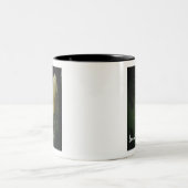 Tasse 2 Couleurs Daffodil Photographie Belle Citation de vie (Centre)