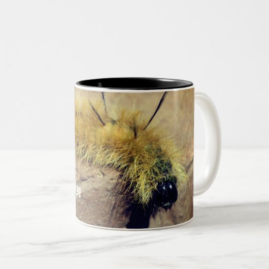 Tasse 2 Couleurs Dagger Moth Caterpillar Nature Personnalisée (Devant droit)