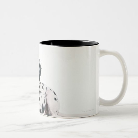 Tasse 2 Couleurs Dalmate 4 (Droit)
