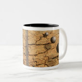 Tasse 2 Couleurs Dans notre image (Devant droit)