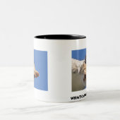 TASSE 2 COULEURS DANS VOTRE ÉCUREUIL DE VISAGE (Centre)