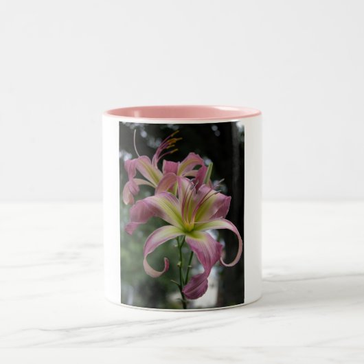 Tasse 2 Couleurs Danseur de vent du nord (Centre)